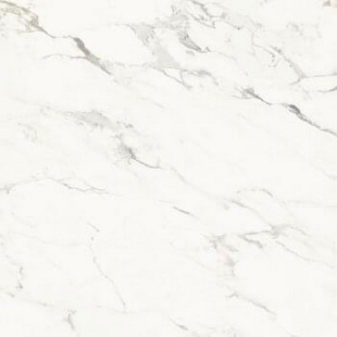 Керамогранит Imola Ceramica Aesthetica Breccia Capraia (60x60) арт. AeCap6120RM